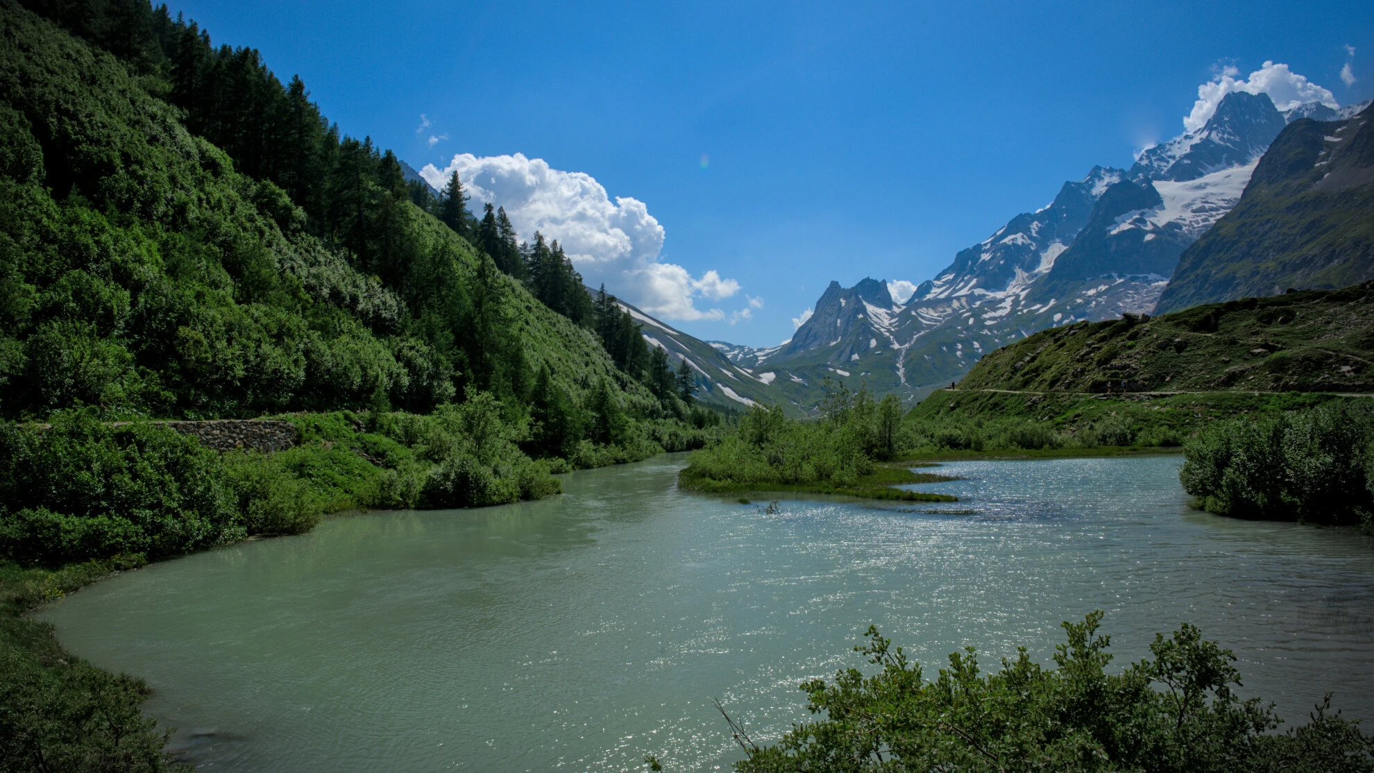 Val Ferret under Grandes Jorasses, mellom eng og breelv