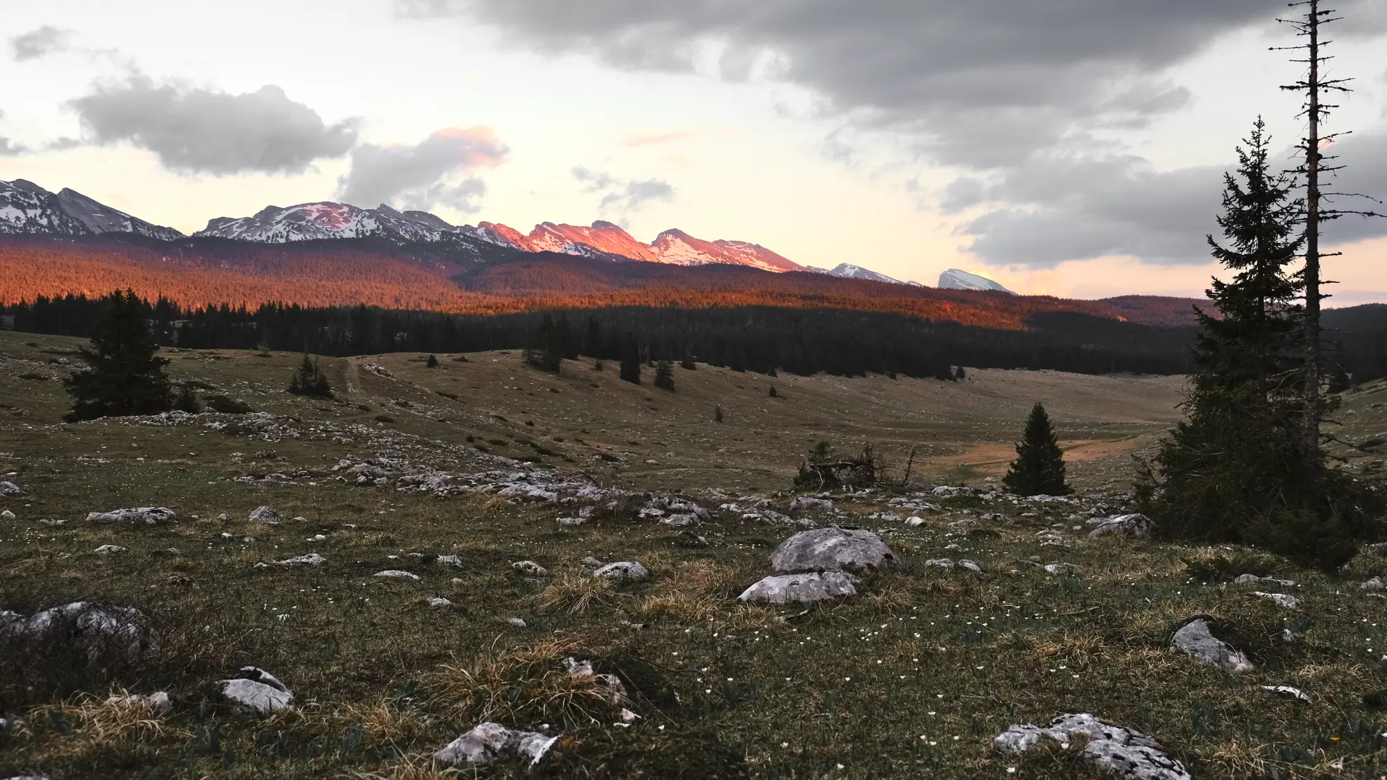 Darbounouse Vercors hogplataaer