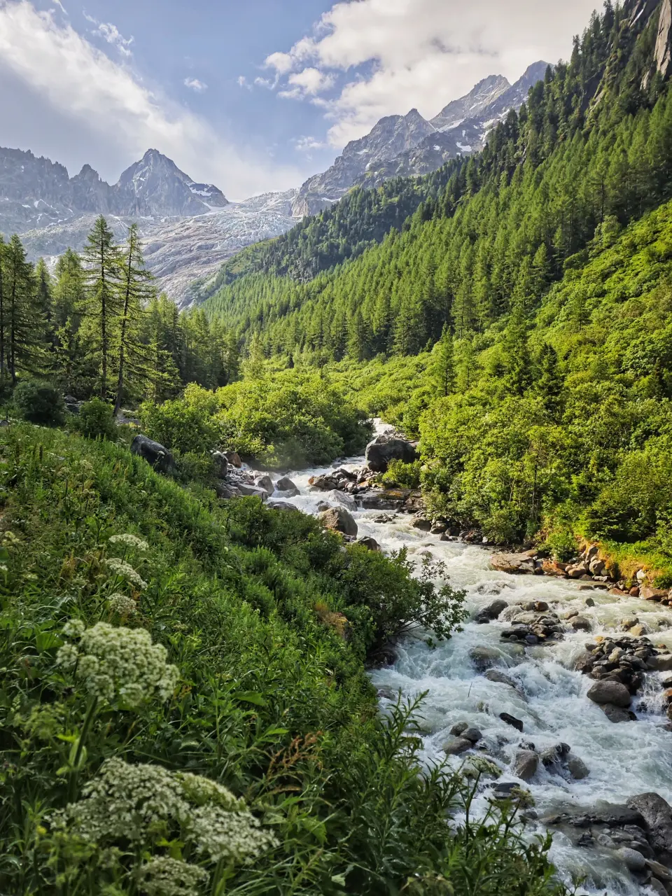 Trient-isbreen - TMB