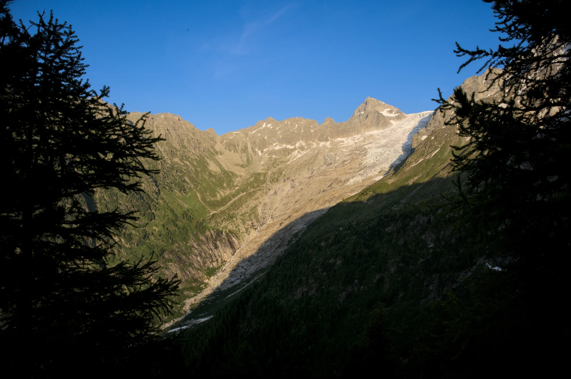 Gransilhuetter og istopper sett fra høydene over Col de Balme