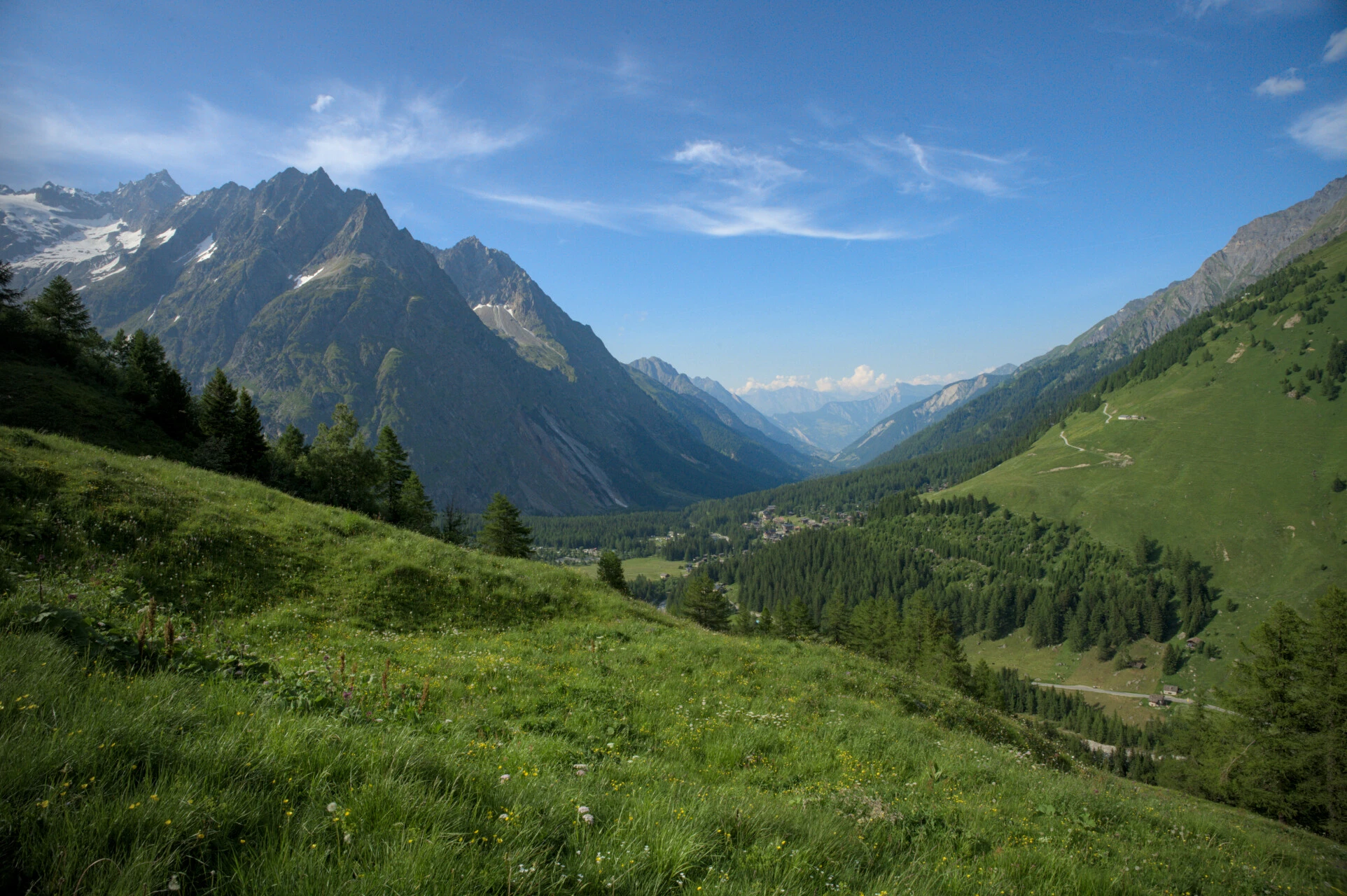 Eng i det sveitsiske Val Ferret med Mont Blanc-breene som bakgrunn