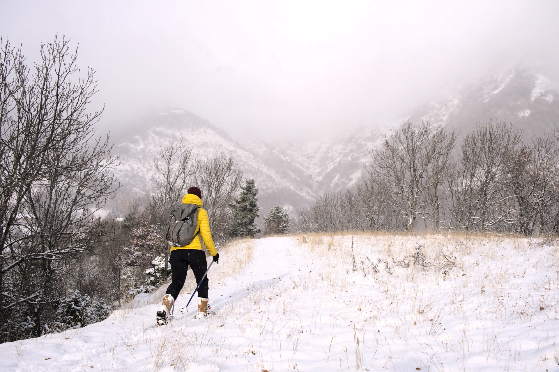introduksjon til trugevandring