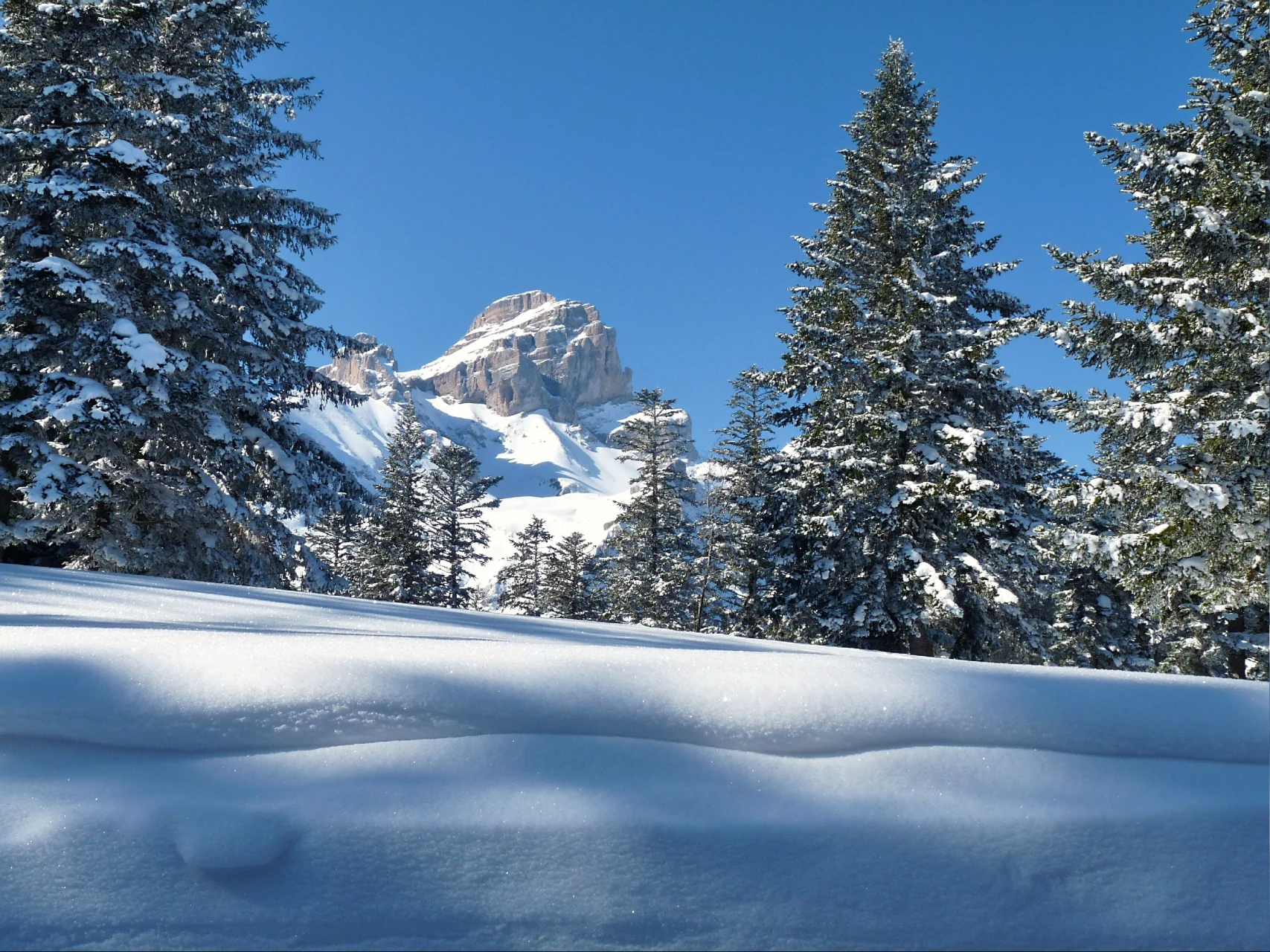 Nyttår fjellhytte Obiou