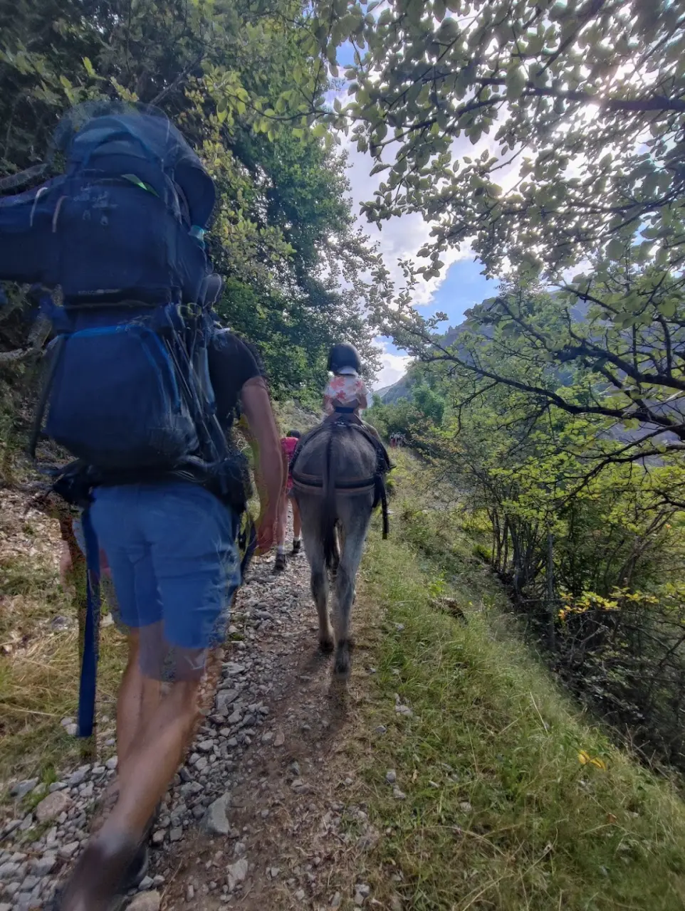 Familievandring med esler