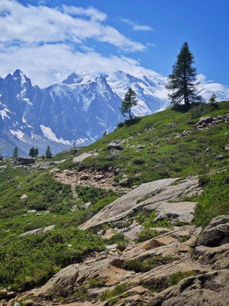 Stien over col des Montets, med Mont-Blanc-massivet rett overfor hele veien opp