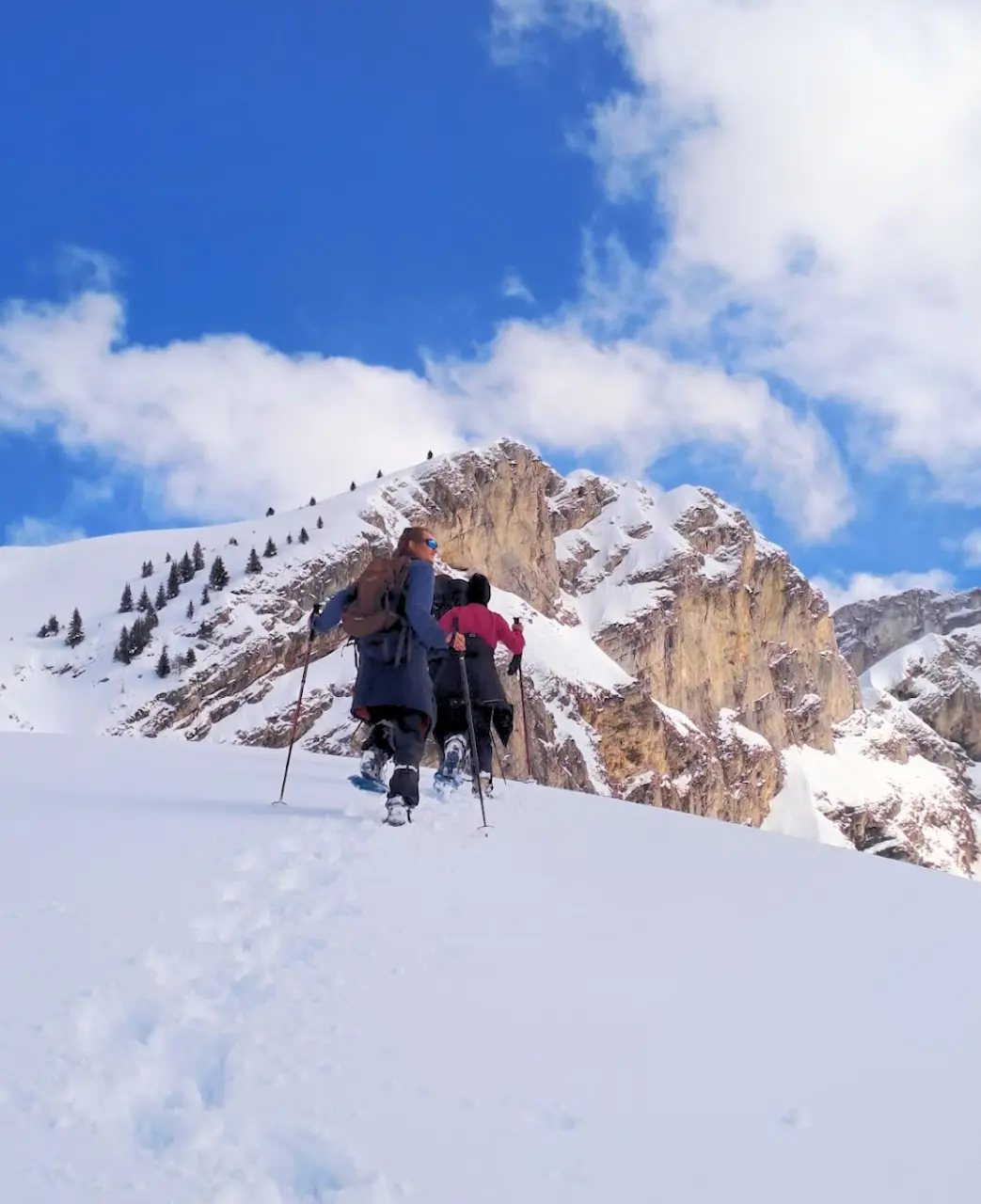 Vinter trugehelg - Vercors
